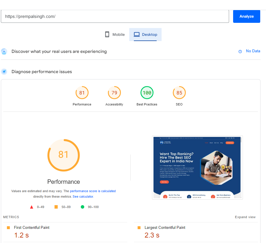 Google Page Speed