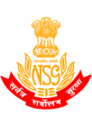 NSG Logo